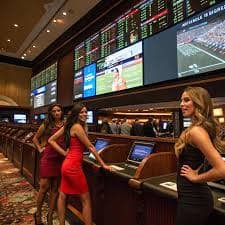 Privasi akun slot pohon digital